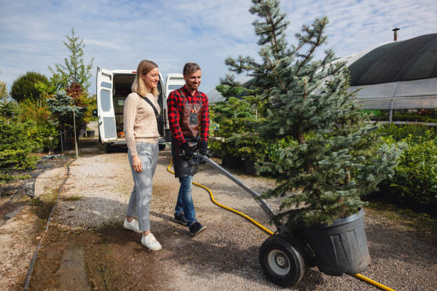 Reliable Hayfield, VA Tree Removal Solutions